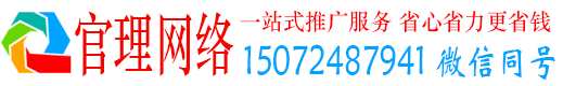 庆元官理竞价广告
